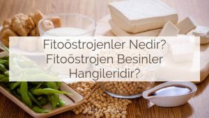 Fitoöstrojenler nedir? Fitoöstrojen yiyecekler hangileridir? fitoöstrojen besinler